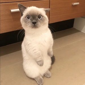 Meet your Posher, Laura